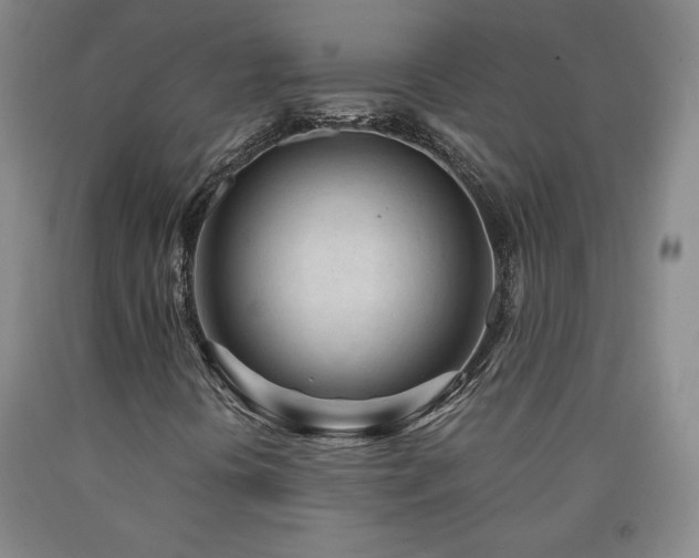 X0000090921394200707301523