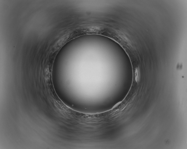 X0000090921395200707301523