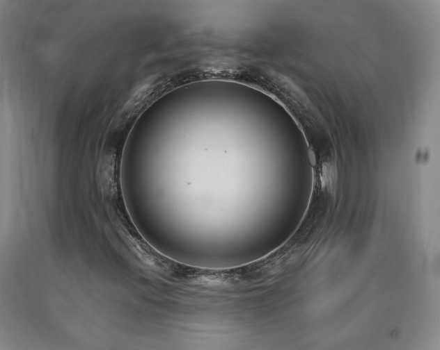 X0000090921396200707301523