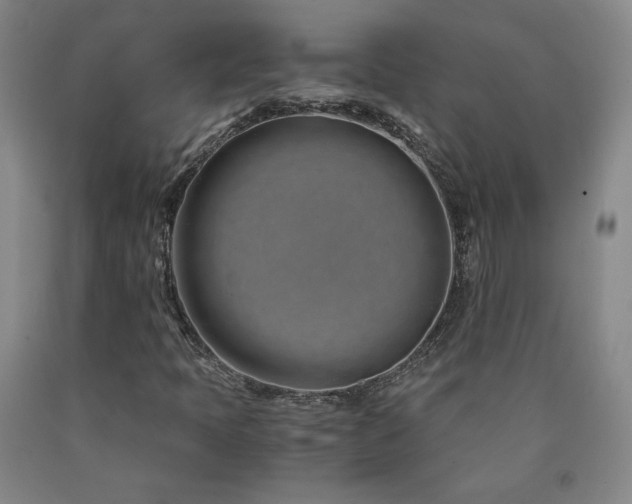 X0000090921397200707301523