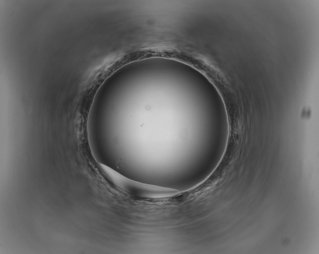 X0000090921398200707301523