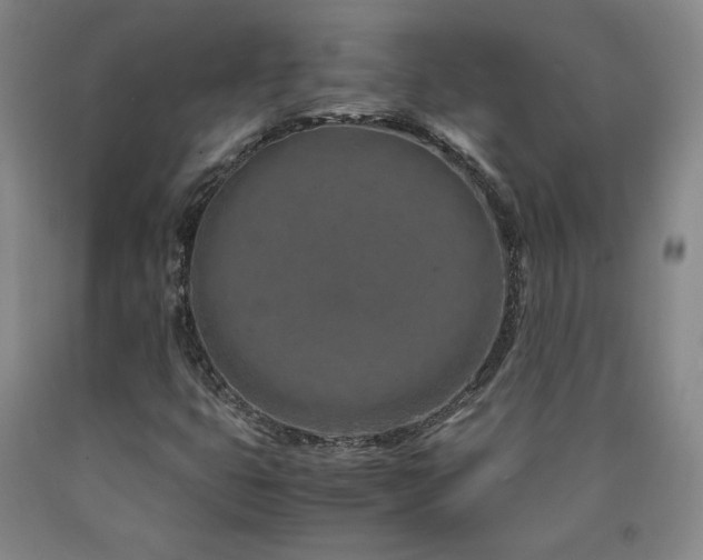 X0000090921399200707301523