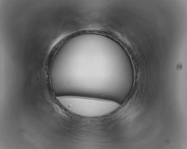 X0000090921400200707301523