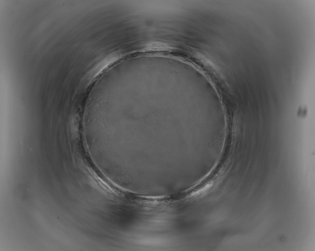 X0000090921401200707301523