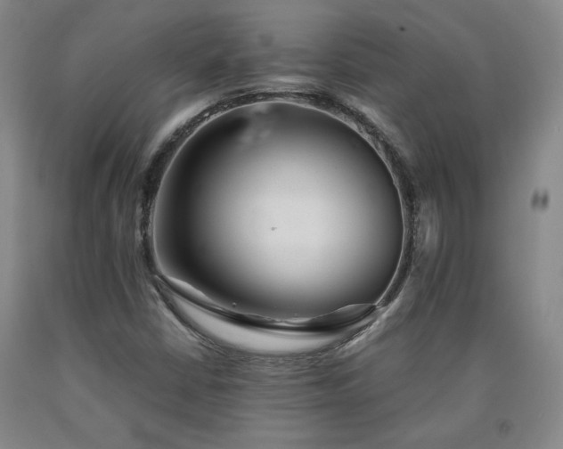 X0000090921402200707301523