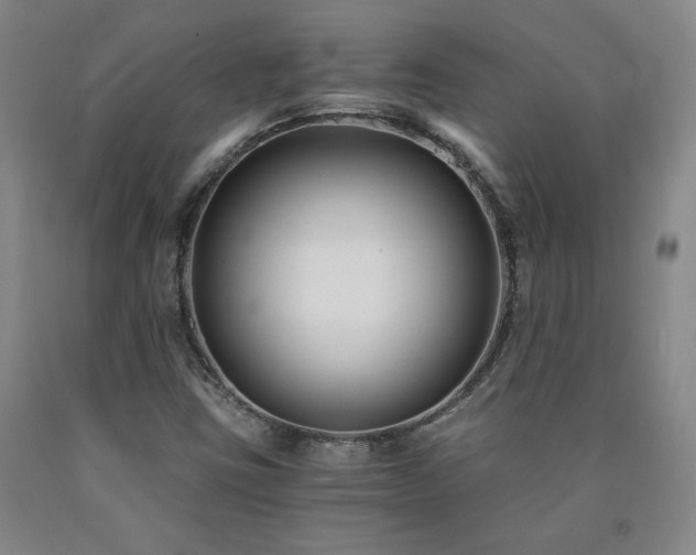 X0000090921403200707301523