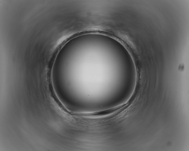 X0000090921404200707301523