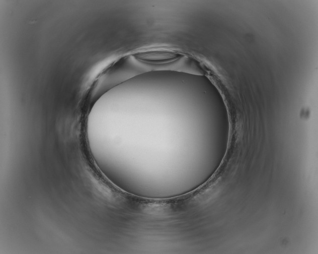 X0000090921406200707301523