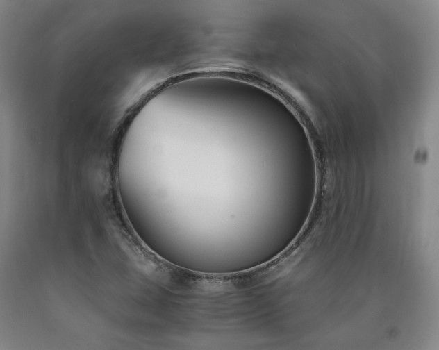 X0000090921407200707301523