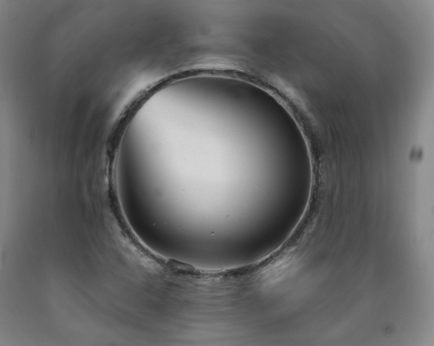 X0000090921408200707301523