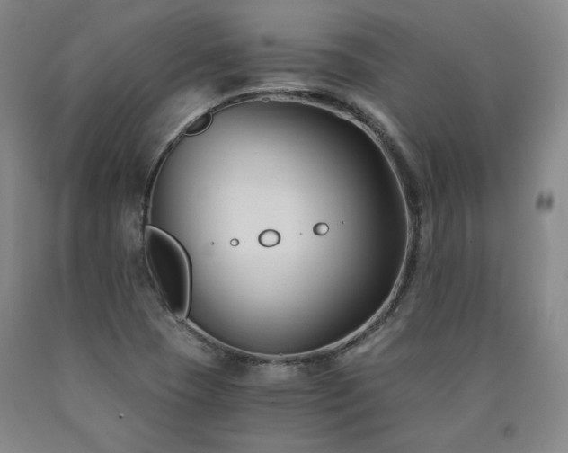 X0000090921409200707301523