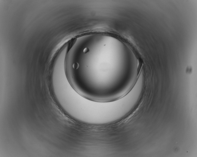 X0000090921410200707301523