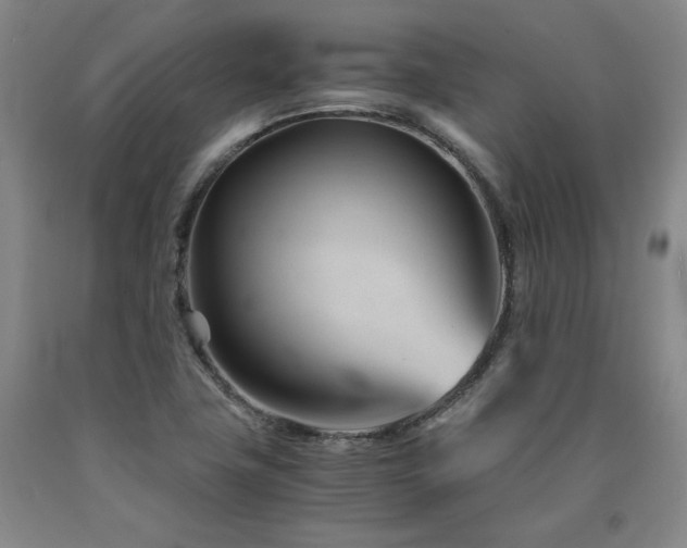X0000090921411200707301523