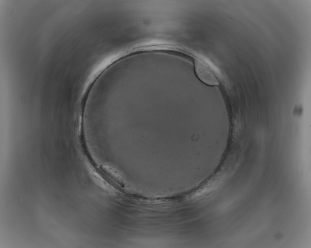 X0000090921413200707301523