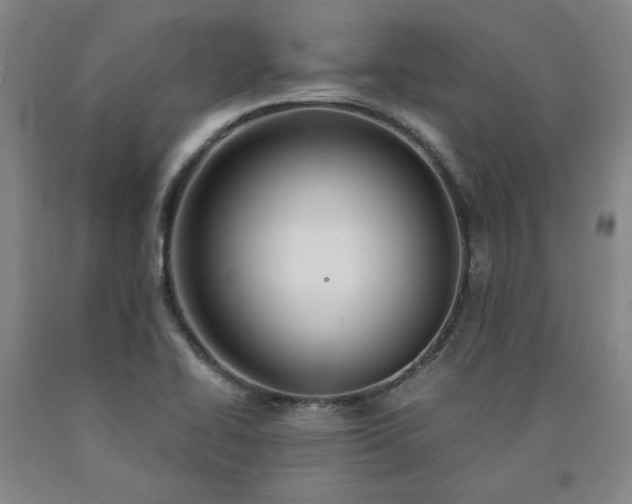X0000090921414200707301523