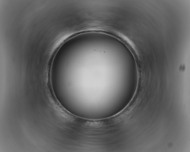 X0000090921415200707301523