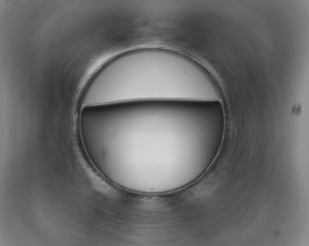 X0000090921416200707301523