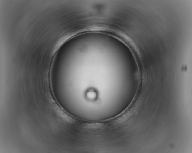 X0000090921417200707301523
