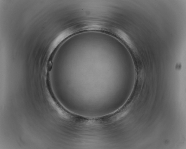X0000090921418200707301523