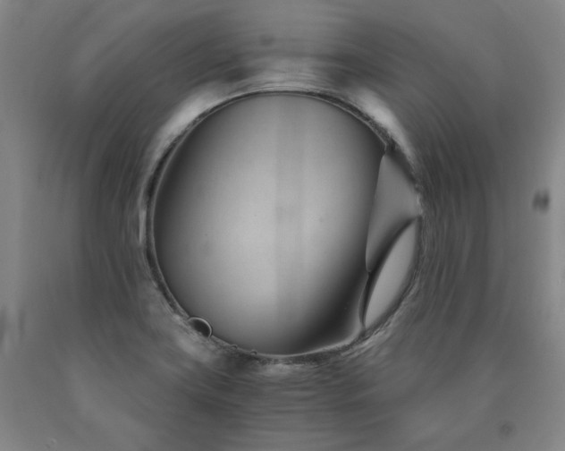 X0000090921419200707301523