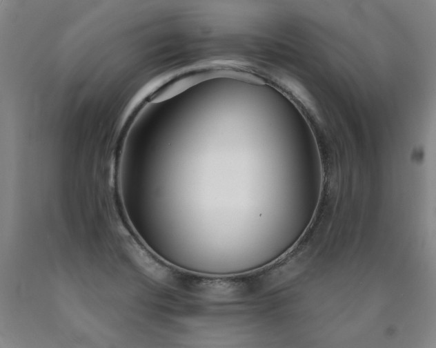 X0000090921420200707301523