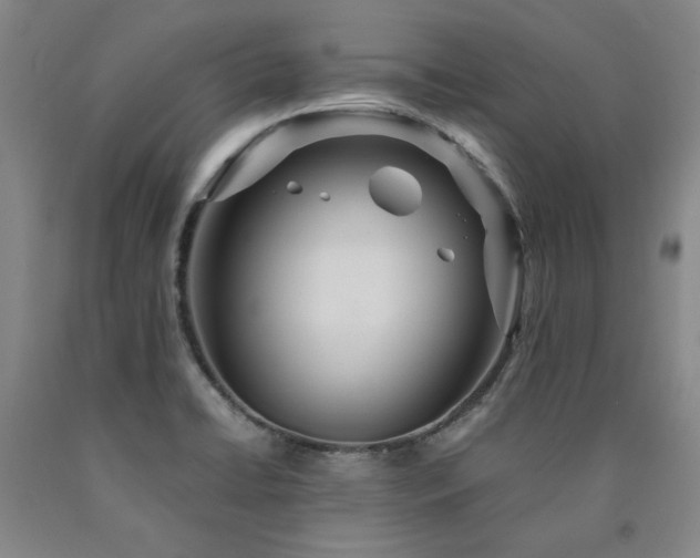 X0000090921422200707301523