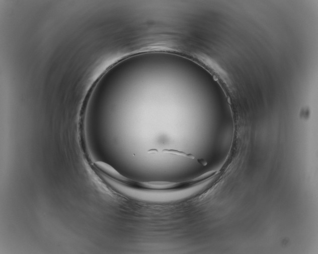 X0000090921423200707301523