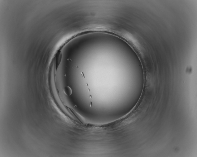 X0000090921424200707301523