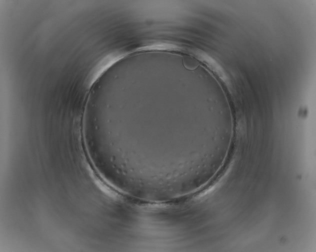 X0000090921425200707301523
