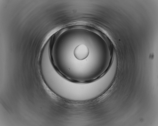 X0000090921426200707301524