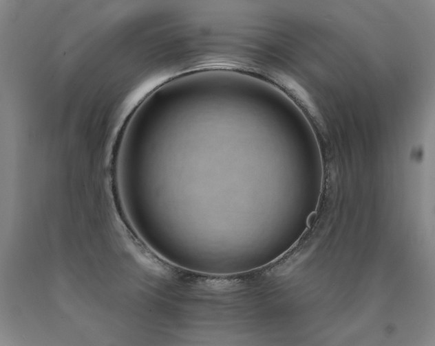X0000090921427200707301524
