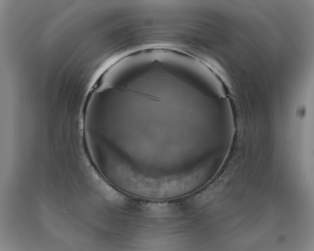 X0000090921428200707301524