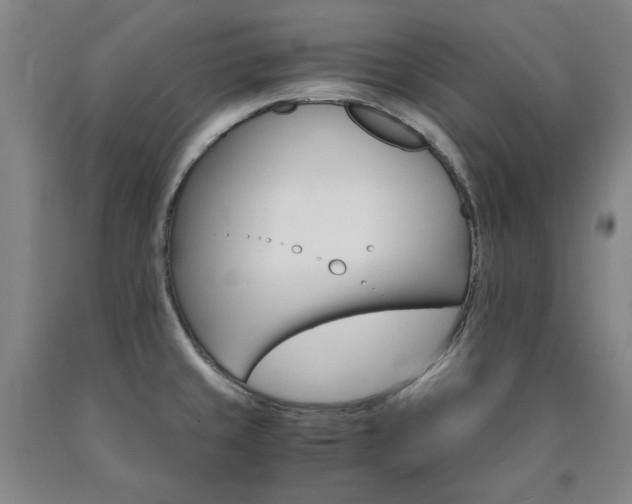 X0000090921429200707301524