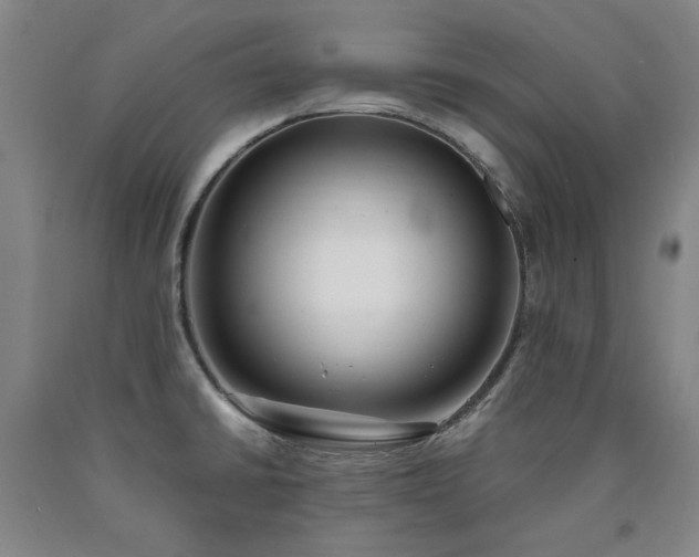 X0000090921430200707301524