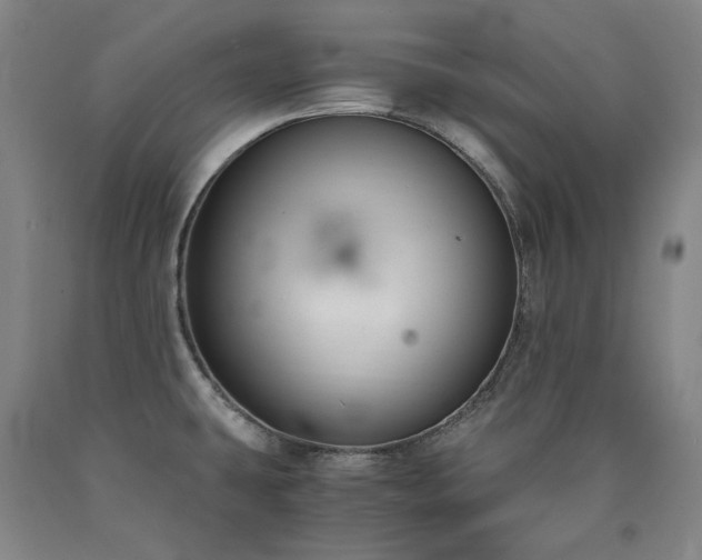 X0000090921431200707301524