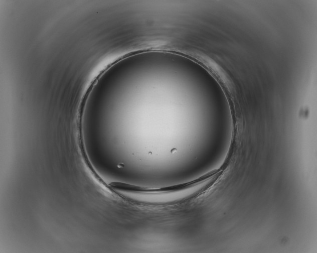 X0000090921432200707301524