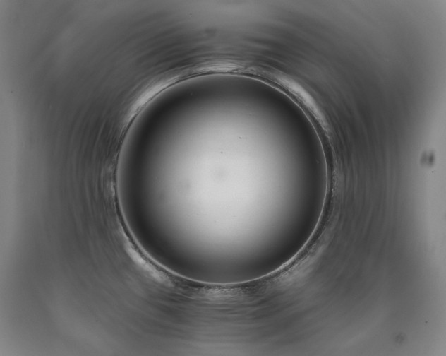X0000090921433200707301524