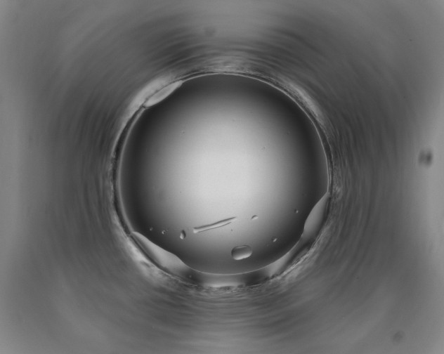X0000090921434200707301524