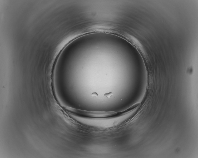 X0000090921435200707301524