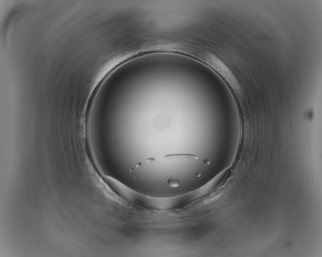 X0000090921436200707301524