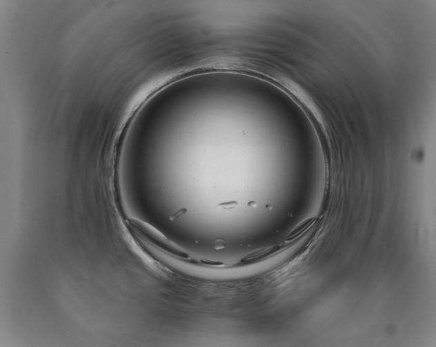 X0000090921437200707301524