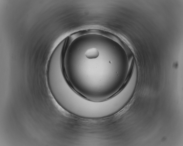 X0000090921438200707301524