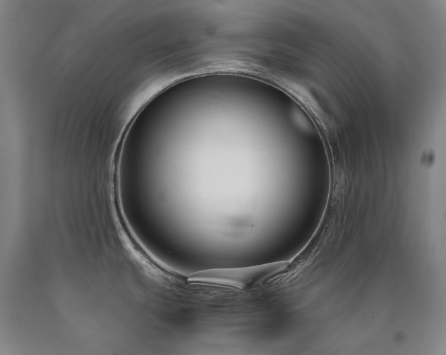 X0000090921439200707301524