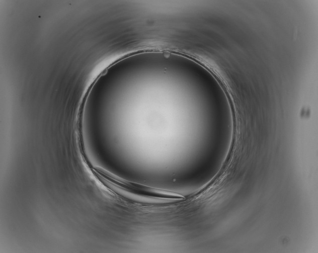 X0000090921440200707301524
