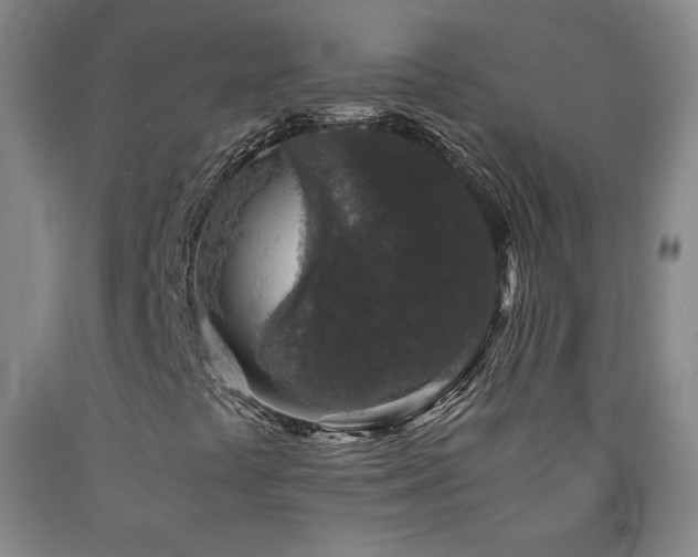 X0000090921441200707301523