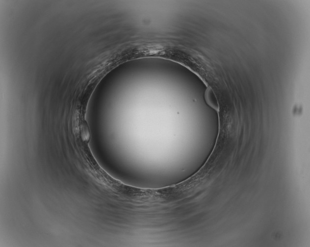 X0000090921442200707301523