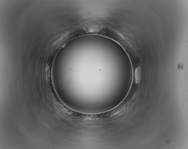 X0000090921443200707301523
