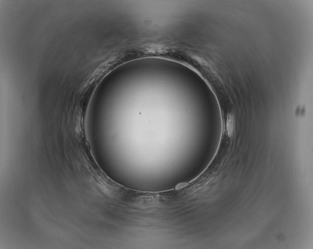 X0000090921444200707301523