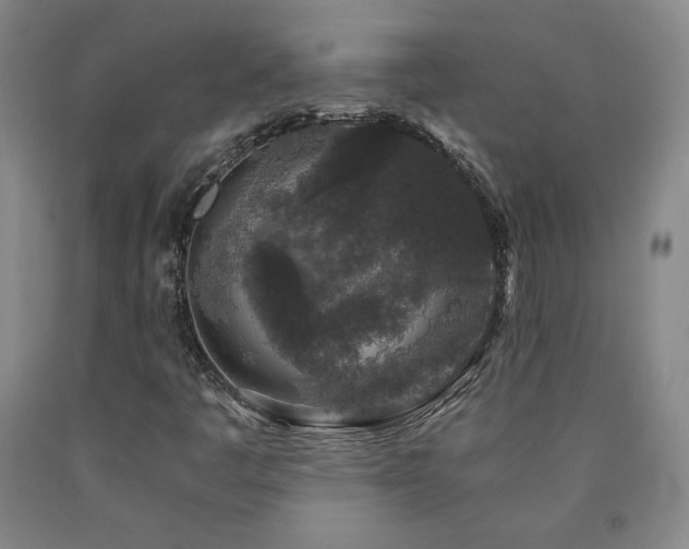 X0000090921445200707301523