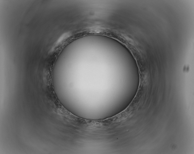 X0000090921446200707301523